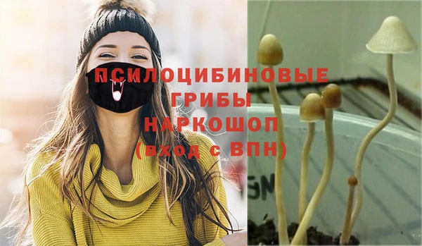 стаф Богородицк